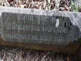 image of grave number 452020